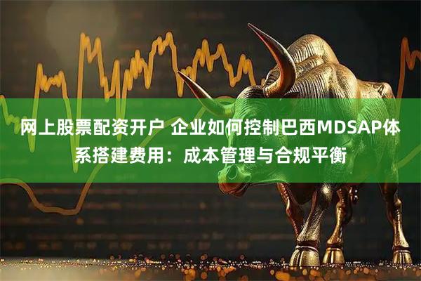网上股票配资开户 企业如何控制巴西MDSAP体系搭建费用：成本管理与合规平衡